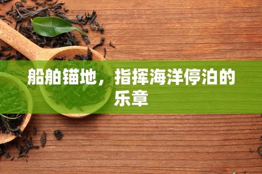船舶锚地，指挥海洋停泊的乐章
