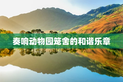 奏响动物园笼舍的和谐乐章