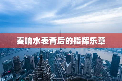 奏响水表背后的指挥乐章
