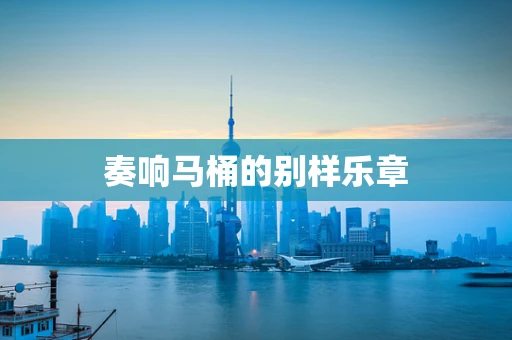 奏响马桶的别样乐章