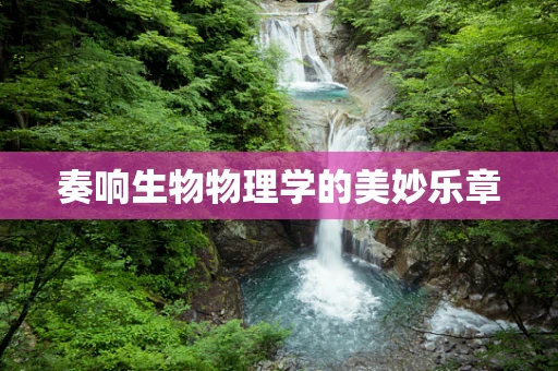 奏响生物物理学的美妙乐章