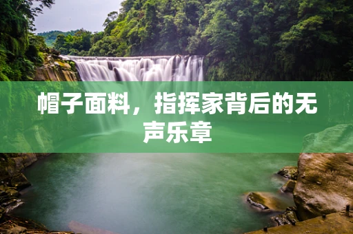 帽子面料，指挥家背后的无声乐章