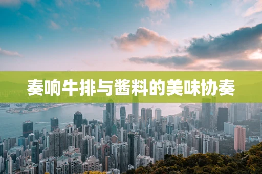 奏响牛排与酱料的美味协奏