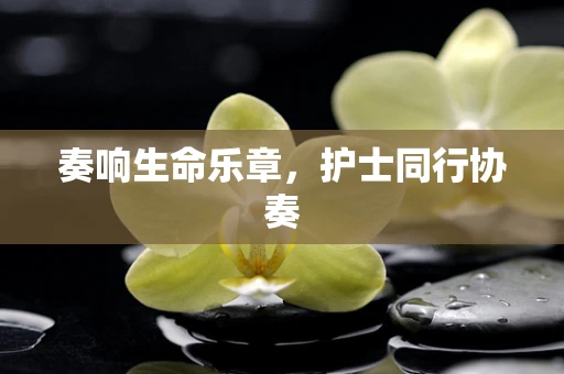 奏响生命乐章，护士同行协奏