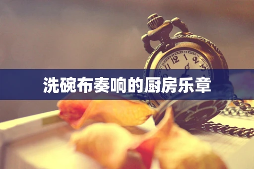 洗碗布奏响的厨房乐章