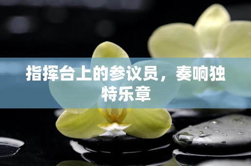 指挥台上的参议员，奏响独特乐章
