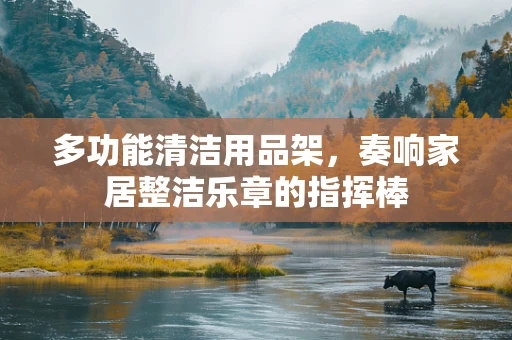 多功能清洁用品架，奏响家居整洁乐章的指挥棒