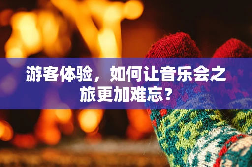 游客体验，如何让音乐会之旅更加难忘？