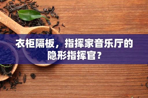 衣柜隔板，指挥家音乐厅的隐形指挥官？