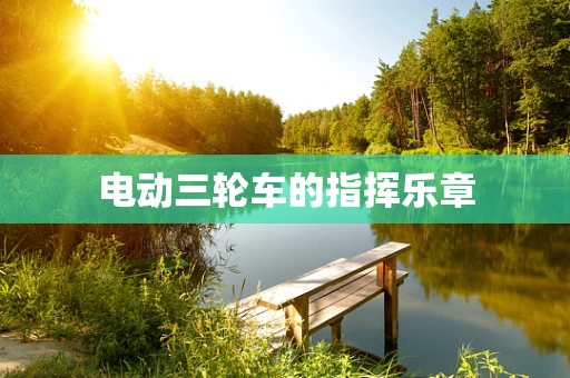电动三轮车的指挥乐章