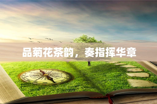 品菊花茶韵，奏指挥华章