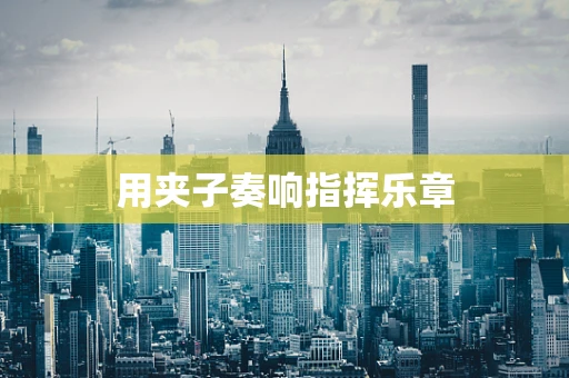 用夹子奏响指挥乐章
