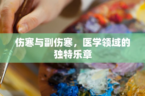 伤寒与副伤寒，医学领域的独特乐章