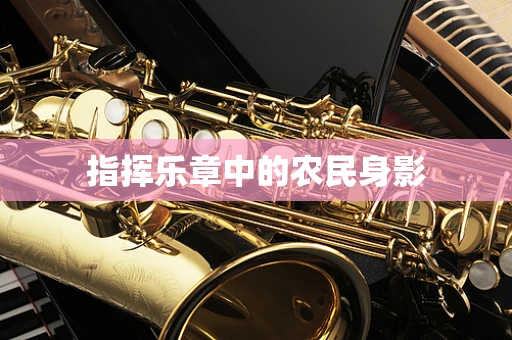 指挥乐章中的农民身影