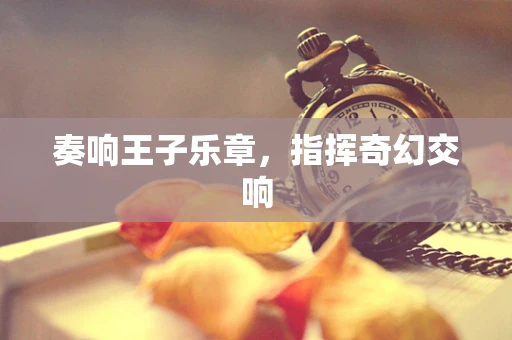 奏响王子乐章，指挥奇幻交响