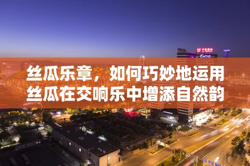 丝瓜乐章，如何巧妙地运用丝瓜在交响乐中增添自然韵律？
