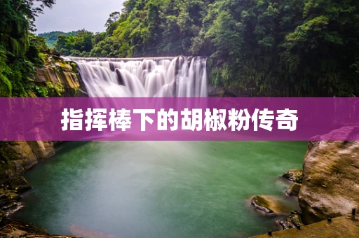指挥棒下的胡椒粉传奇