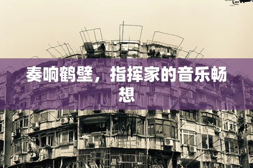 奏响鹤壁，指挥家的音乐畅想