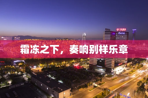 霜冻之下，奏响别样乐章