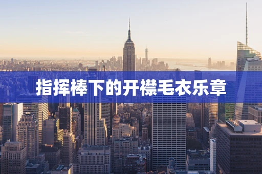 指挥棒下的开襟毛衣乐章