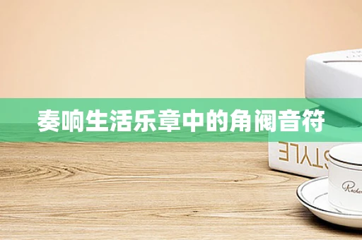 奏响生活乐章中的角阀音符