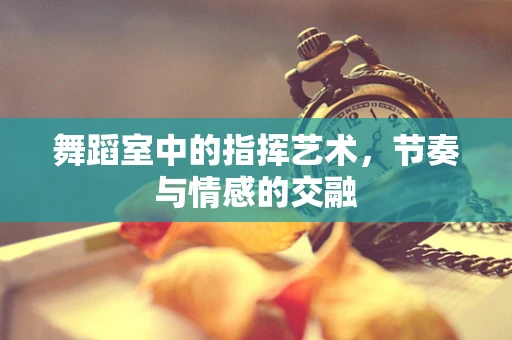 舞蹈室中的指挥艺术，节奏与情感的交融