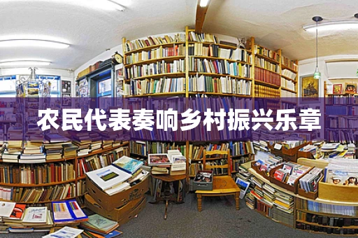 农民代表奏响乡村振兴乐章