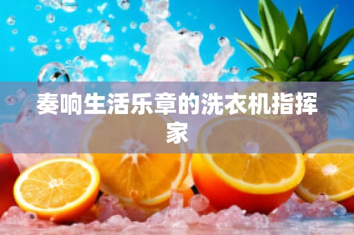 奏响生活乐章的洗衣机指挥家