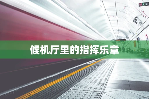 候机厅里的指挥乐章