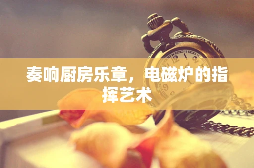 奏响厨房乐章，电磁炉的指挥艺术