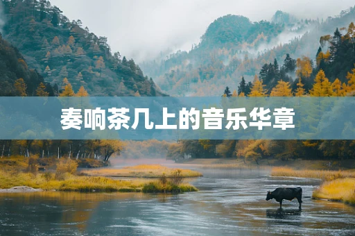 奏响茶几上的音乐华章