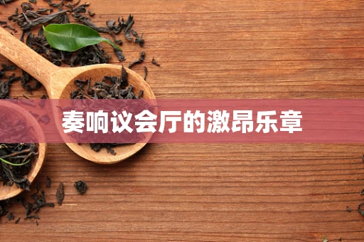 奏响议会厅的激昂乐章