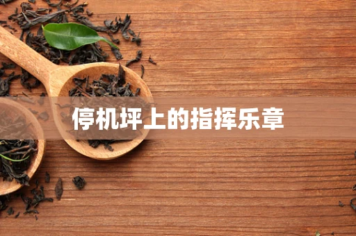 停机坪上的指挥乐章