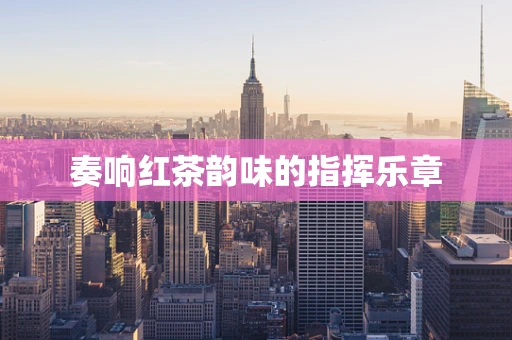 奏响红茶韵味的指挥乐章