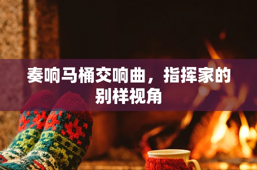奏响马桶交响曲，指挥家的别样视角