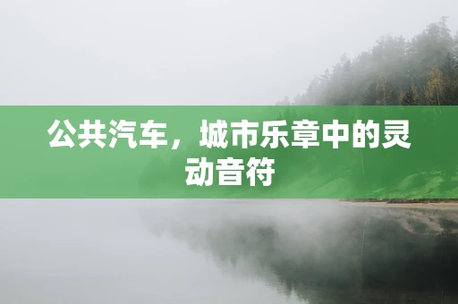 公共汽车，城市乐章中的灵动音符