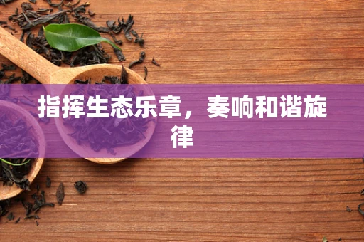 指挥生态乐章，奏响和谐旋律