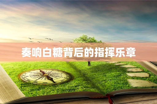 奏响白糖背后的指挥乐章