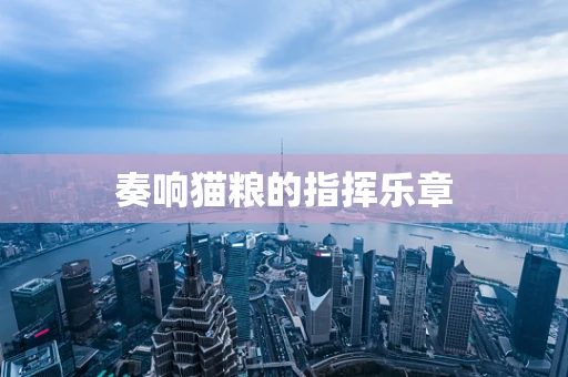 奏响猫粮的指挥乐章