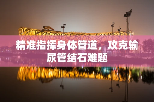 精准指挥身体管道，攻克输尿管结石难题