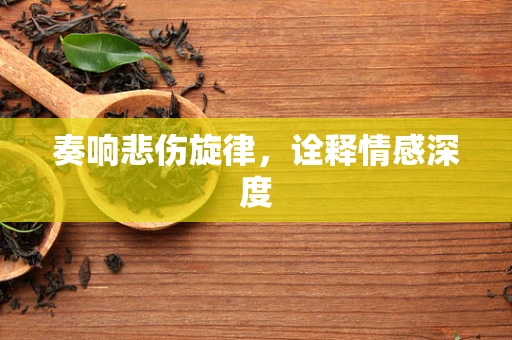 奏响悲伤旋律，诠释情感深度