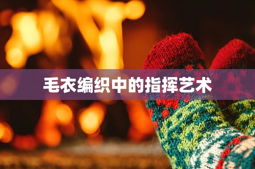 毛衣编织中的指挥艺术