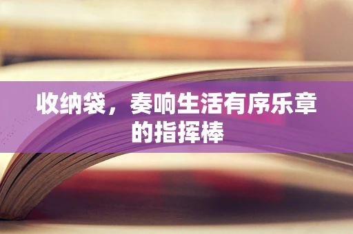 收纳袋，奏响生活有序乐章的指挥棒
