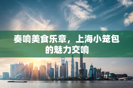 奏响美食乐章，上海小笼包的魅力交响