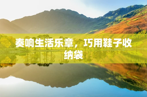 奏响生活乐章，巧用鞋子收纳袋