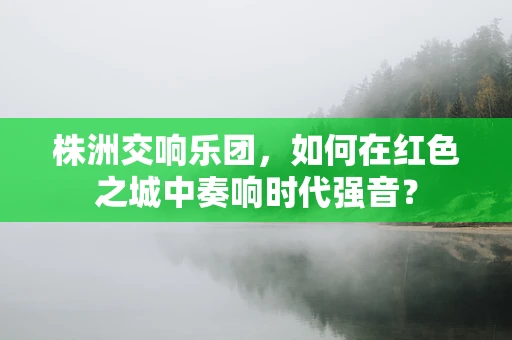 株洲交响乐团，如何在红色之城中奏响时代强音？