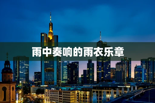 雨中奏响的雨衣乐章