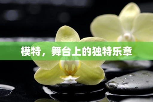 模特，舞台上的独特乐章