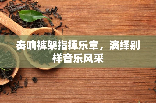 奏响裤架指挥乐章，演绎别样音乐风采