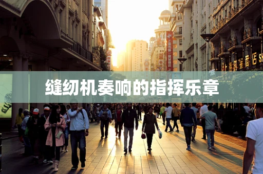 缝纫机奏响的指挥乐章